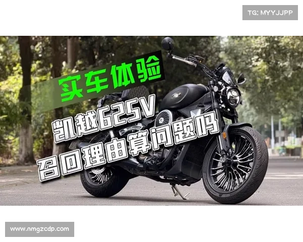 一网打尽2025年6月工信部新车:奔达_标致_春风_凯越_豪爵_长江 一网打尽2025年6月工信部新车:奔达_标致_春风_凯越_豪爵_长江